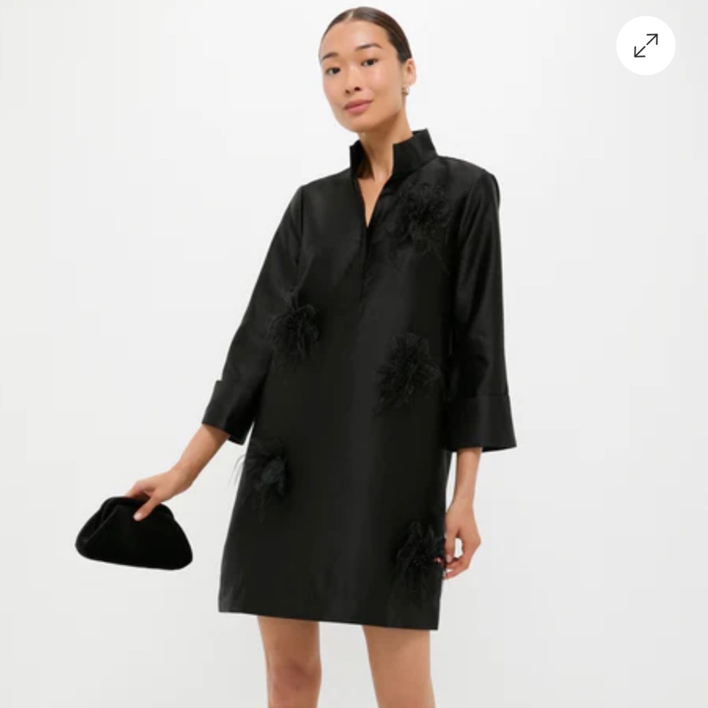 Tuckernuck Black Feather-Embellished Mini Dress
